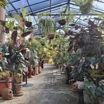 Jardín botánico en Puerto Vallarta