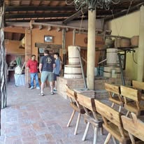 Invernadero lleno de plantas